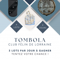 Tombola