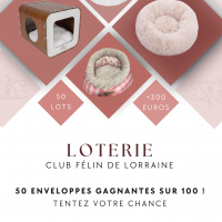 Loterie