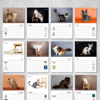 Calendrier